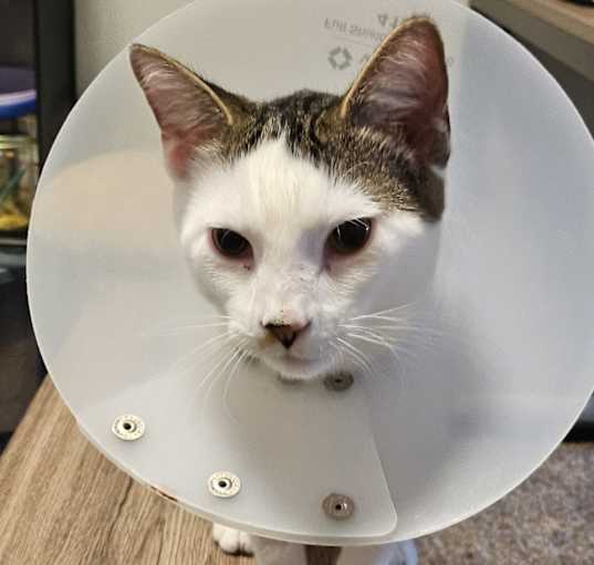 Photo of Jasper