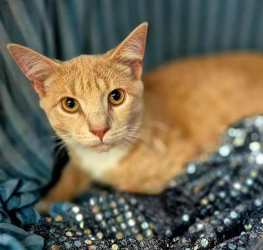 Photo of Remington