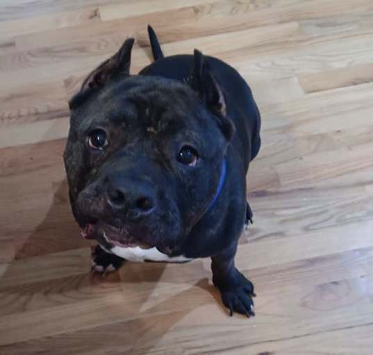 Photo of Buster