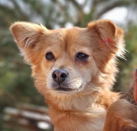 Photo of Mari
