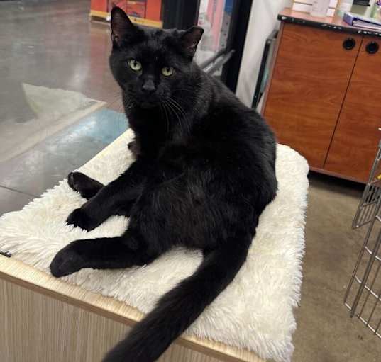 Photo of Big Boy