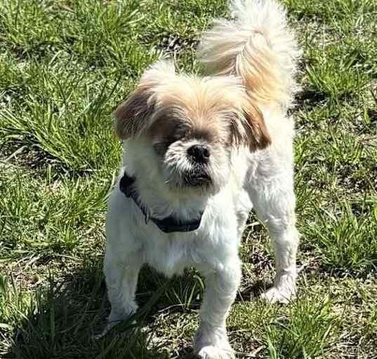 Photo of Buttons