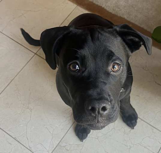 Photo of Winnie