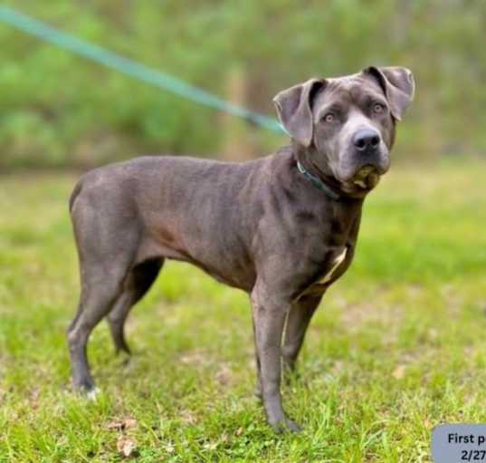 Photo of Hildie
