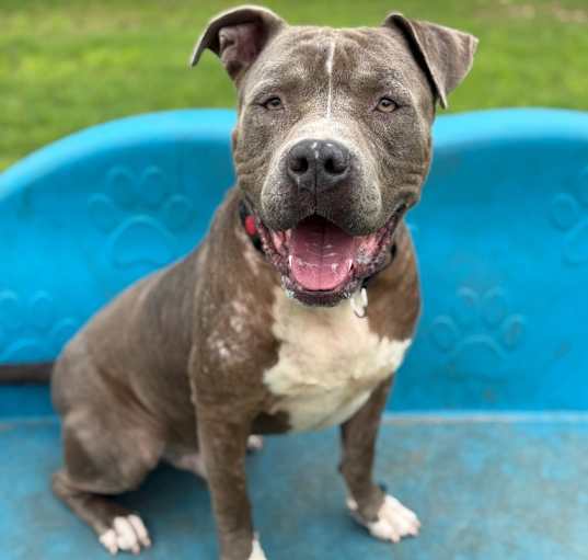Photo of Finn