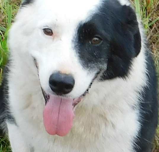 Photo of Spencer