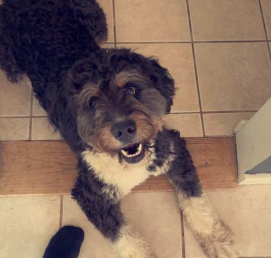 Photo of Gus