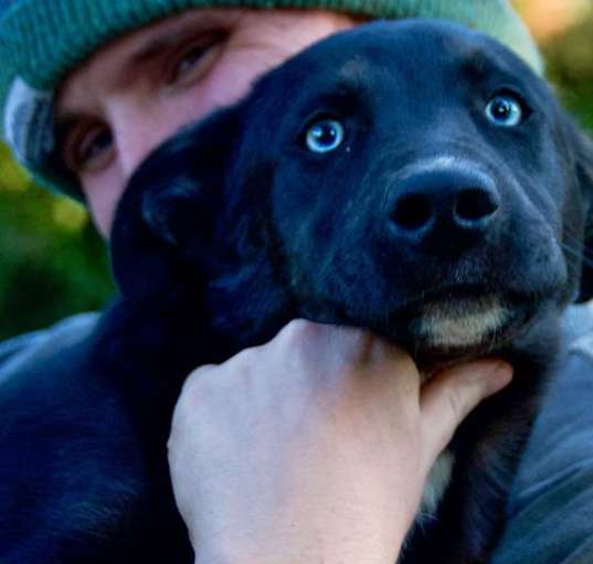 Photo of Blue