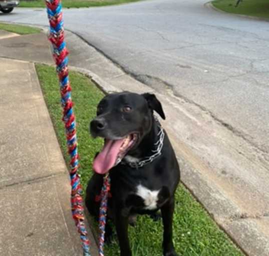 Photo of Raider