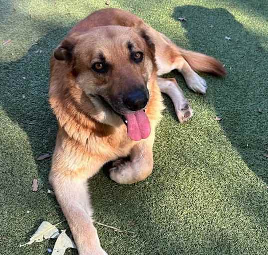 Photo of Leo