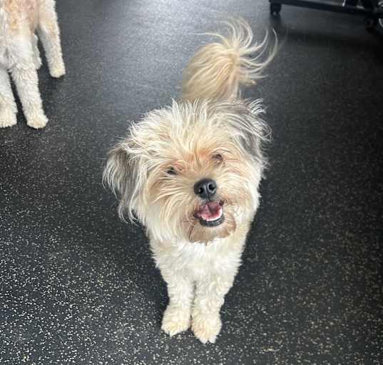Photo of Sophie