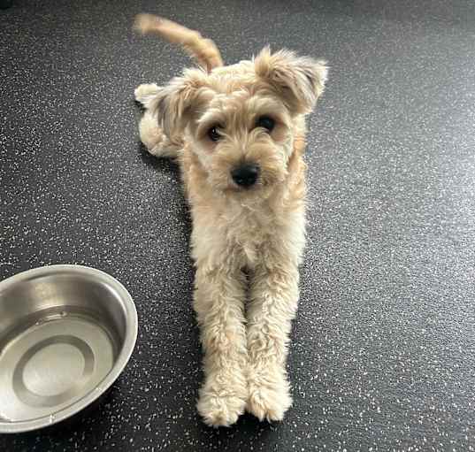 Photo of Emmie