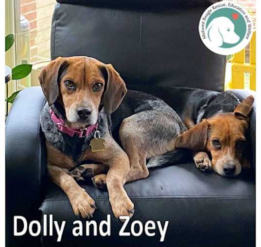 Photo of DOLLY & ZOEY