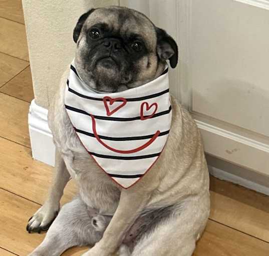 Photo of Charlie