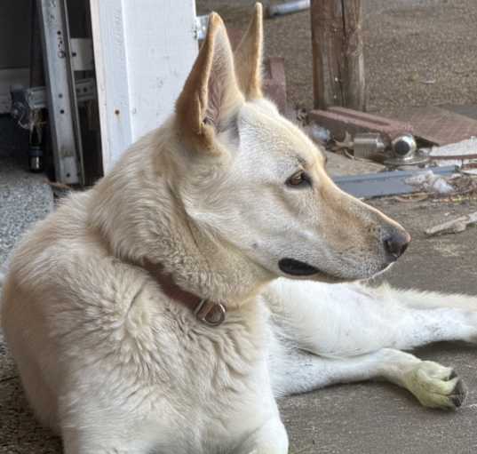 Photo of April