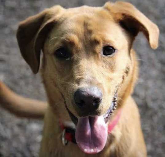 Photo of Happy