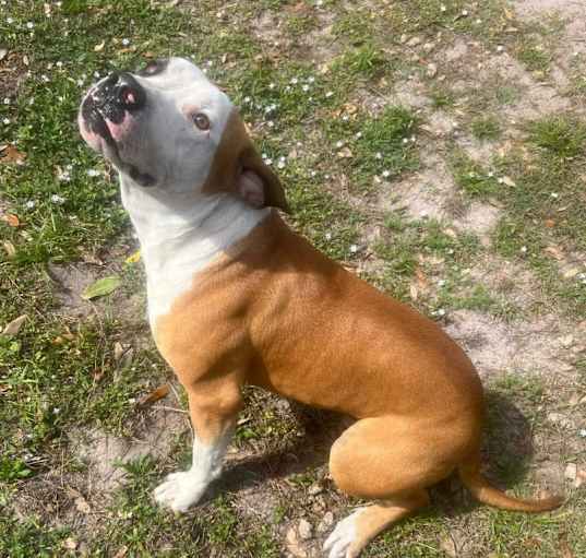 Photo of Junior
