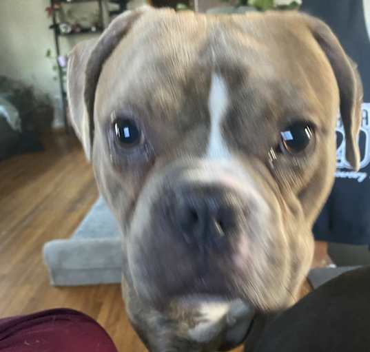 Photo of Major