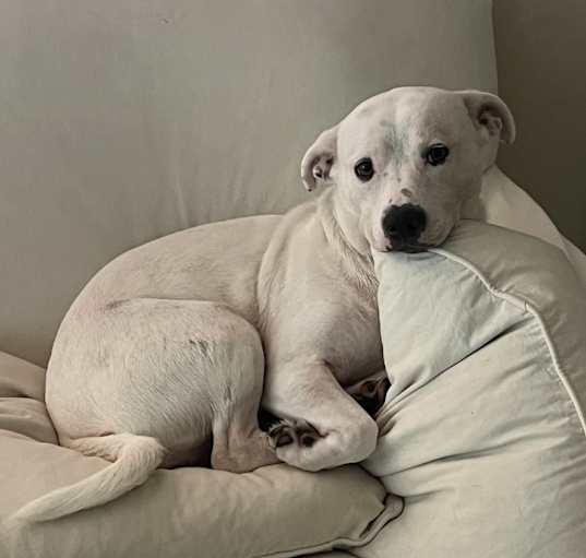 Photo of Maggie