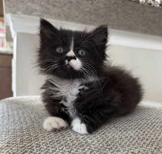 Photo of Dorian
