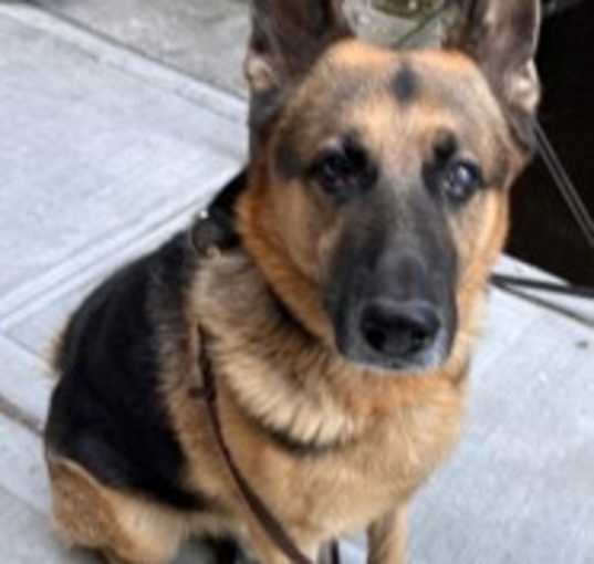 Photo of Hercules