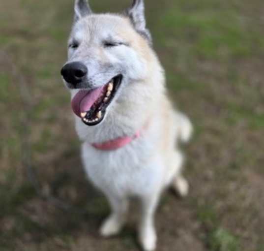 Photo of Dakota