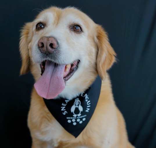 Photo of Barney