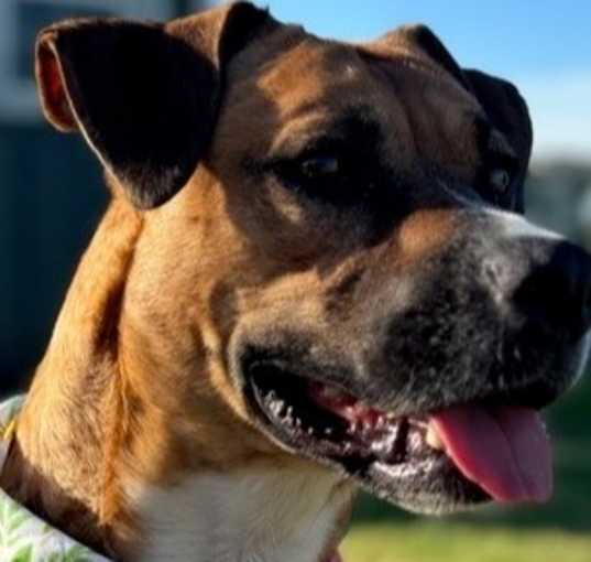 Photo of Charity