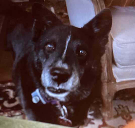 Photo of Faith