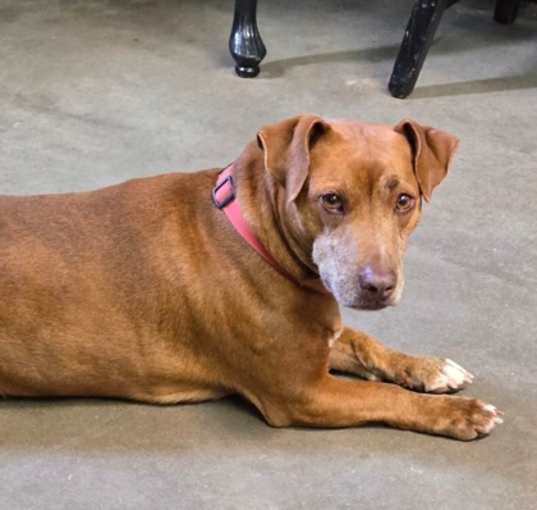Photo of Duke