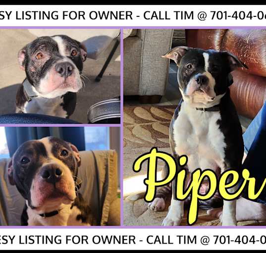 Photo of Piper-COURTESY LISTING