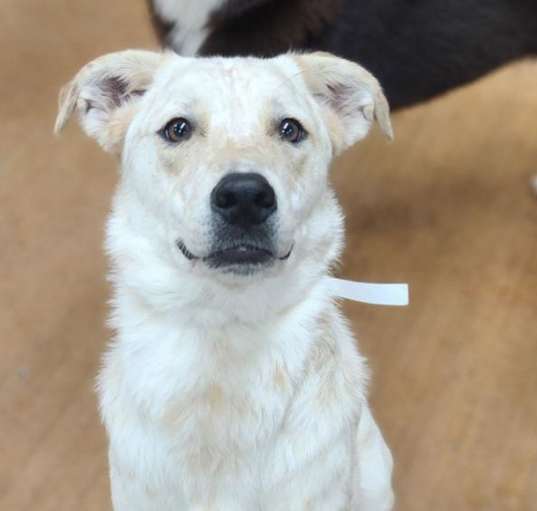 Photo of Nuka