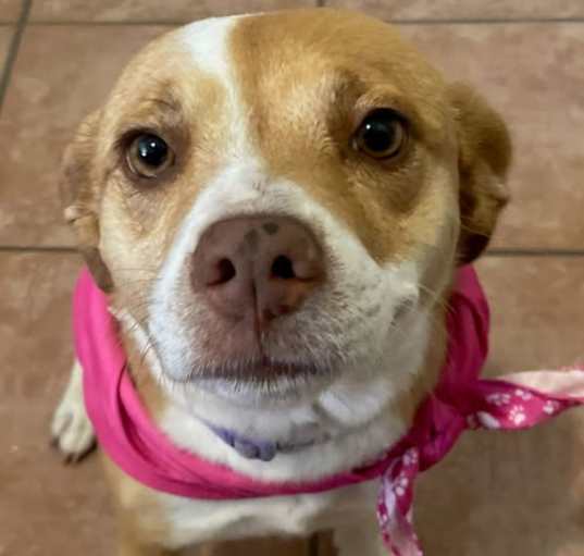 Photo of Penny