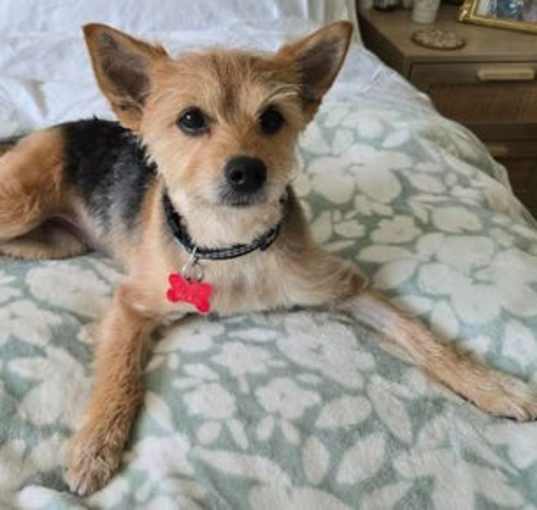 Photo of Roxie