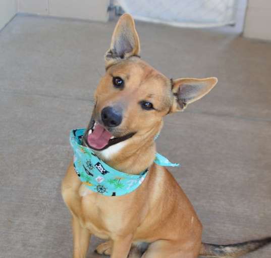 Photo of Spark