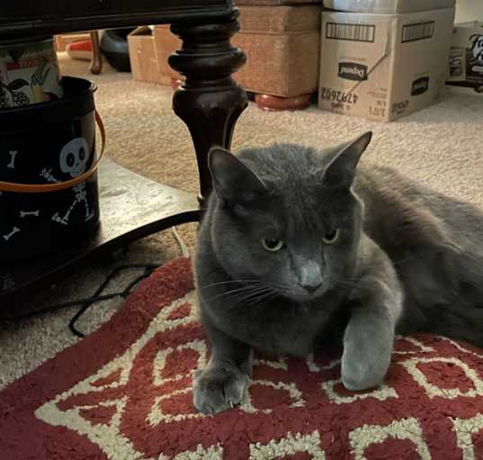 Photo of Kiki