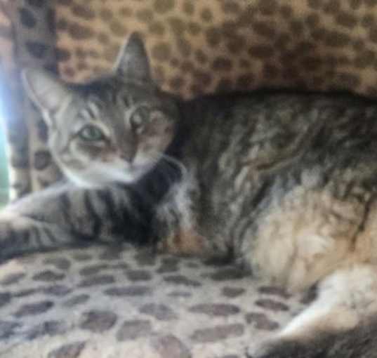 Photo of Gabby