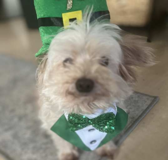 Photo of Gus