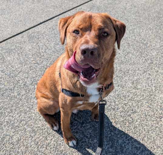 Photo of Lenny