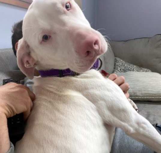 Photo of Cassie