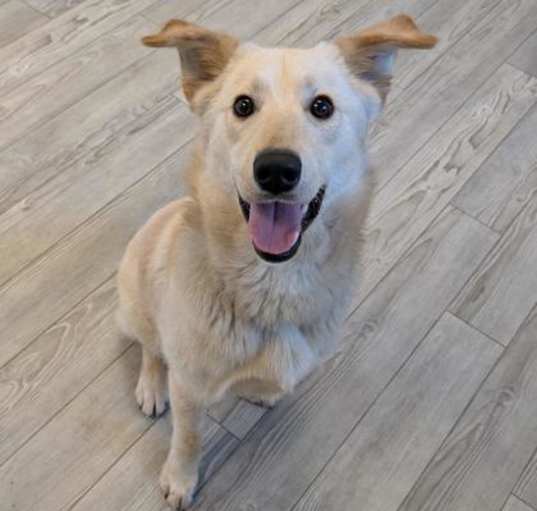 Photo of Mackey