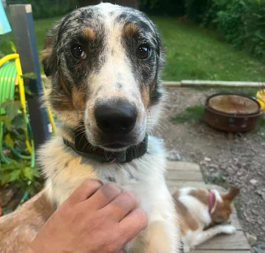 Photo of Walter
