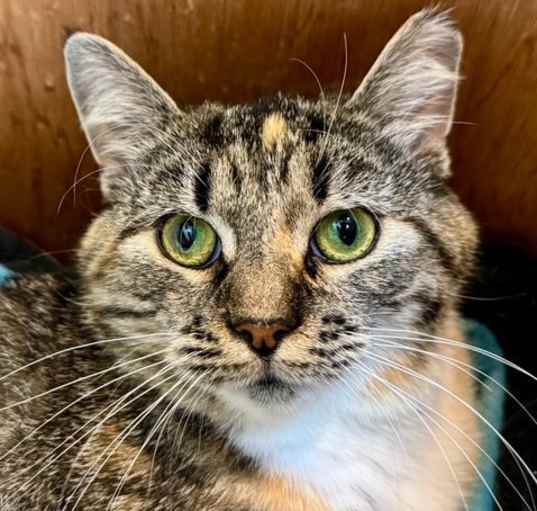 Photo of Faith (25-053)