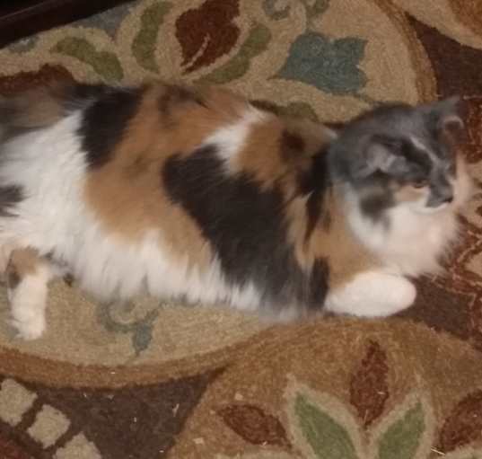 Photo of Cleopatra