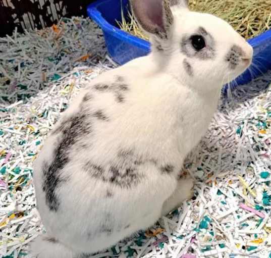 Photo of MILO