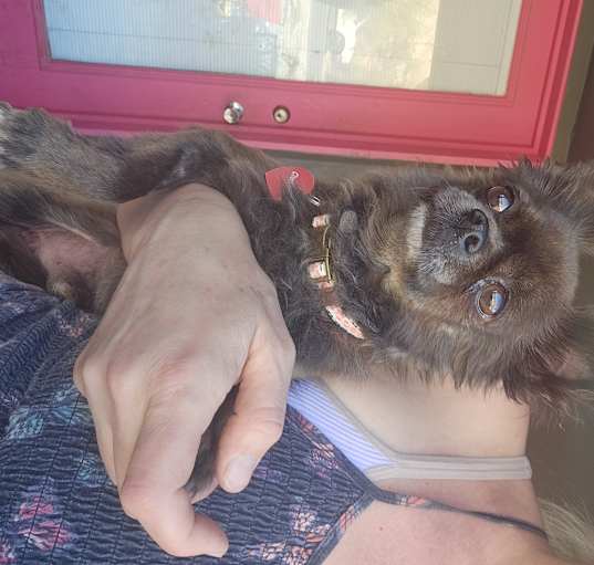 Photo of Petey
