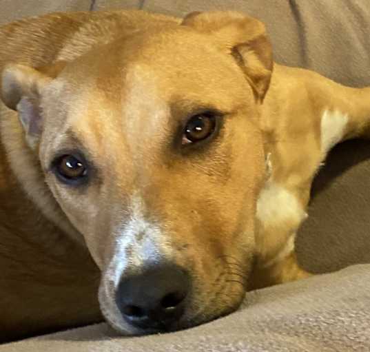 Photo of Rudy