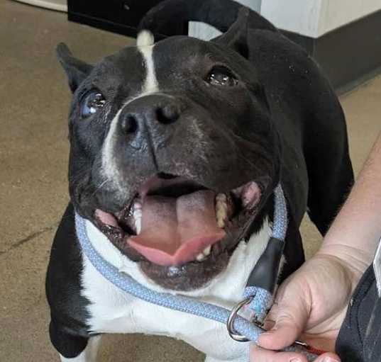 Photo of Sally Stitches