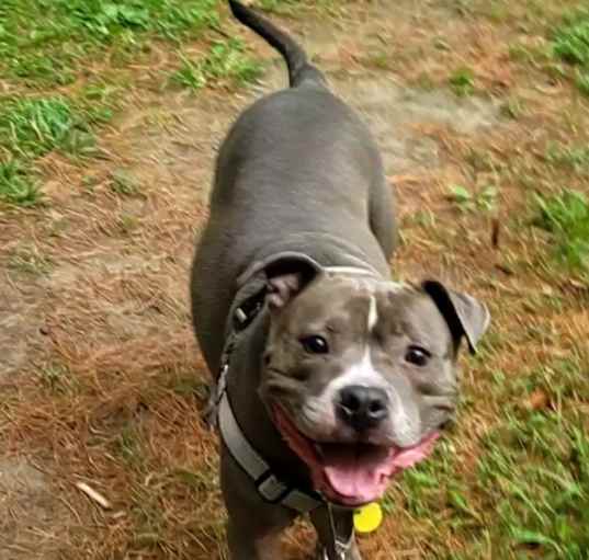 Photo of Nova