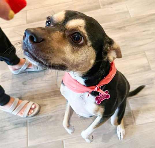 Photo of Suzy I (New Digs)